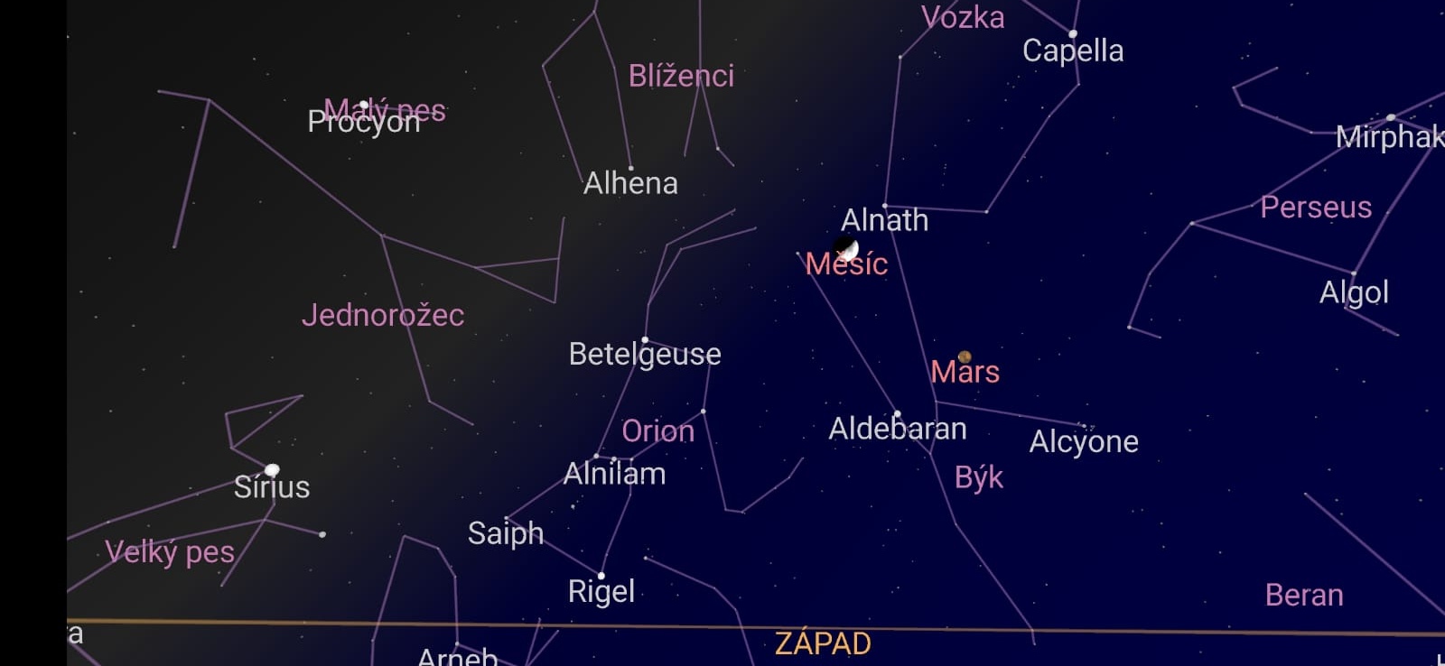 Přes březen/duben nám nad hlavou svítí souhvězdí býka a s ním i hvězda Alcyone, která je součástí našeho názvu chovatelské stanice 🌟